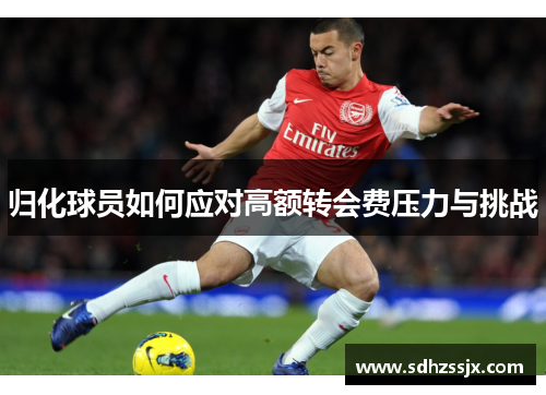 归化球员如何应对高额转会费压力与挑战