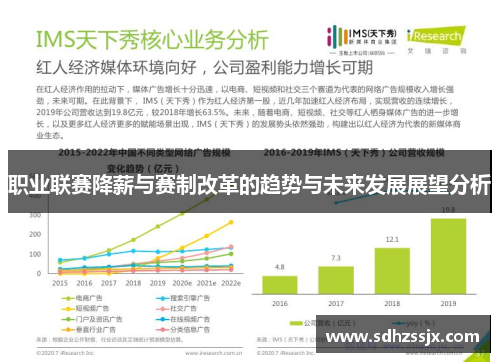职业联赛降薪与赛制改革的趋势与未来发展展望分析
