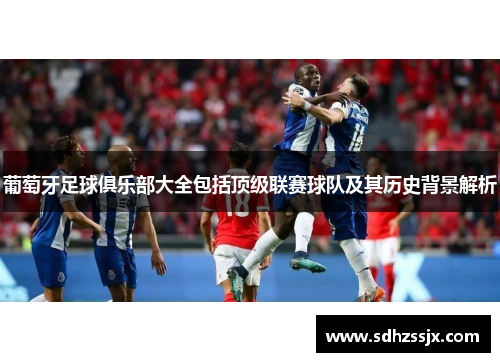 葡萄牙足球俱乐部大全包括顶级联赛球队及其历史背景解析