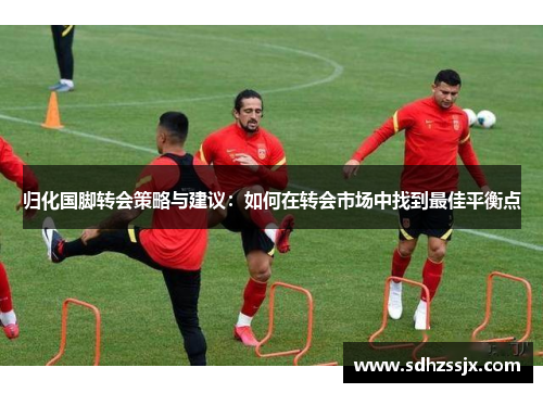 归化国脚转会策略与建议:如何在转会市场中找到最佳平衡点 归化国脚转会策略与建议:如何在转会市场中找到最佳平衡点