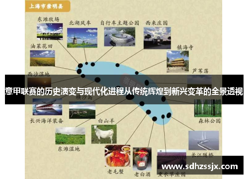 意甲联赛的历史演变与现代化进程从传统辉煌到新兴变革的全景透视 意甲联赛的历史演变与现代化进程从传统辉煌到新兴变革的全景透视